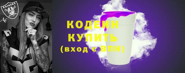 спиды Горняк