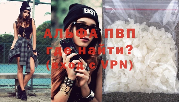 спиды Горняк