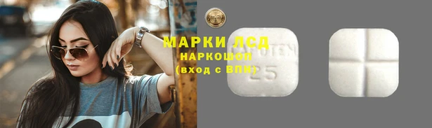 ECSTASY Горнозаводск