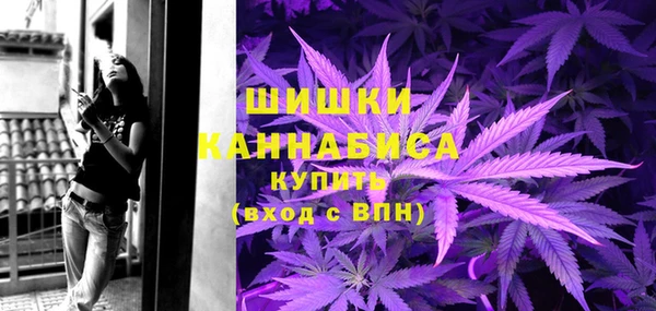 спиды Горняк