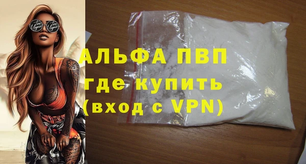 спиды Горняк