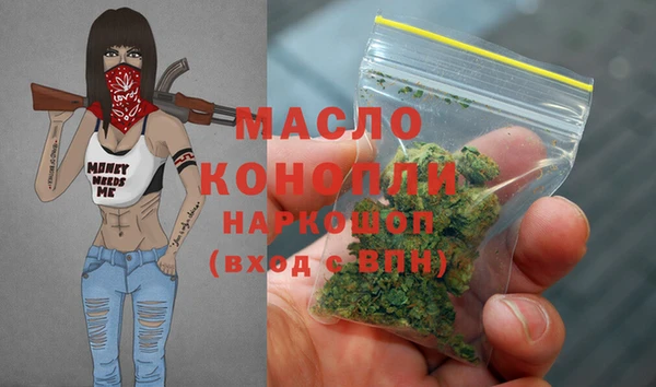 спиды Горняк