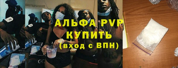 спиды Горняк