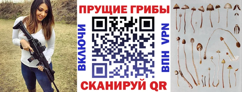 Галлюциногенные грибы ЛСД Красновишерск