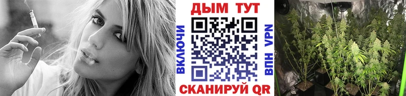 Канабис OG Kush Красновишерск
